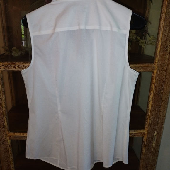 Talbots Perfect Shirt-Sleeveless Non Iron Top size 10 - Picture 4 of 5